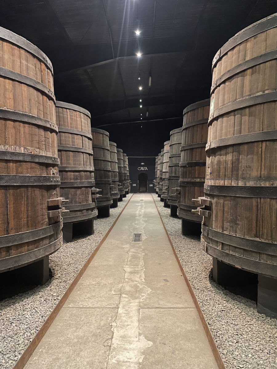 experiencias-en-Valle-de-Guadalupe