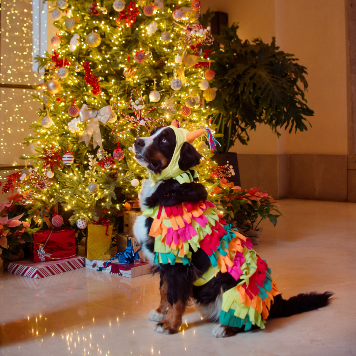 alojamientos para celebrar año nuevo 