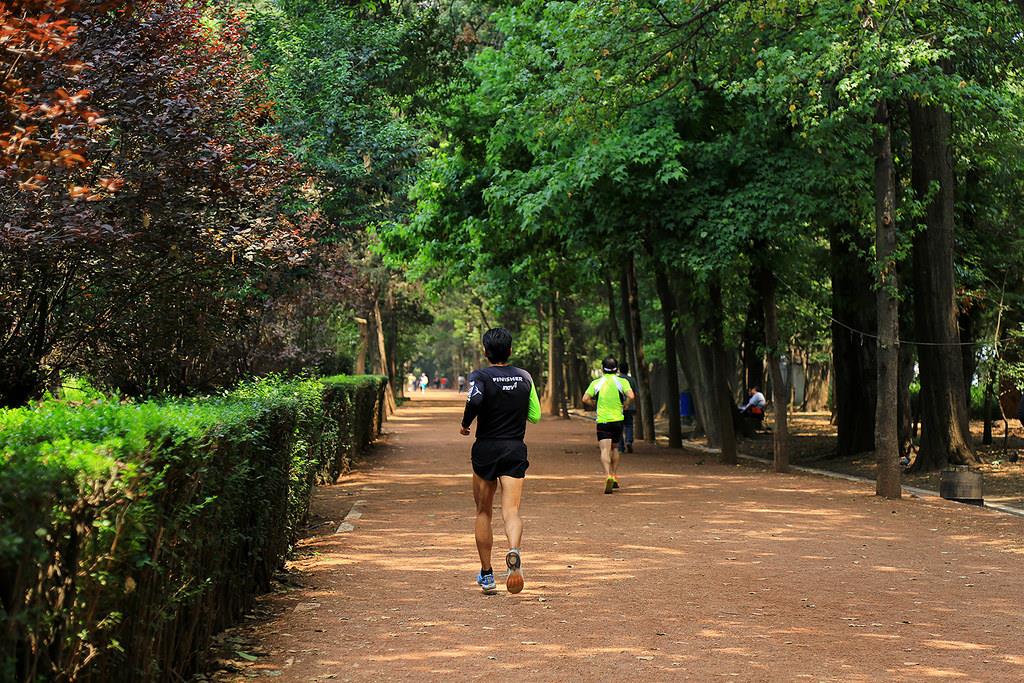 Viveros de Coyoacán, un parque favorito para los amantes del running