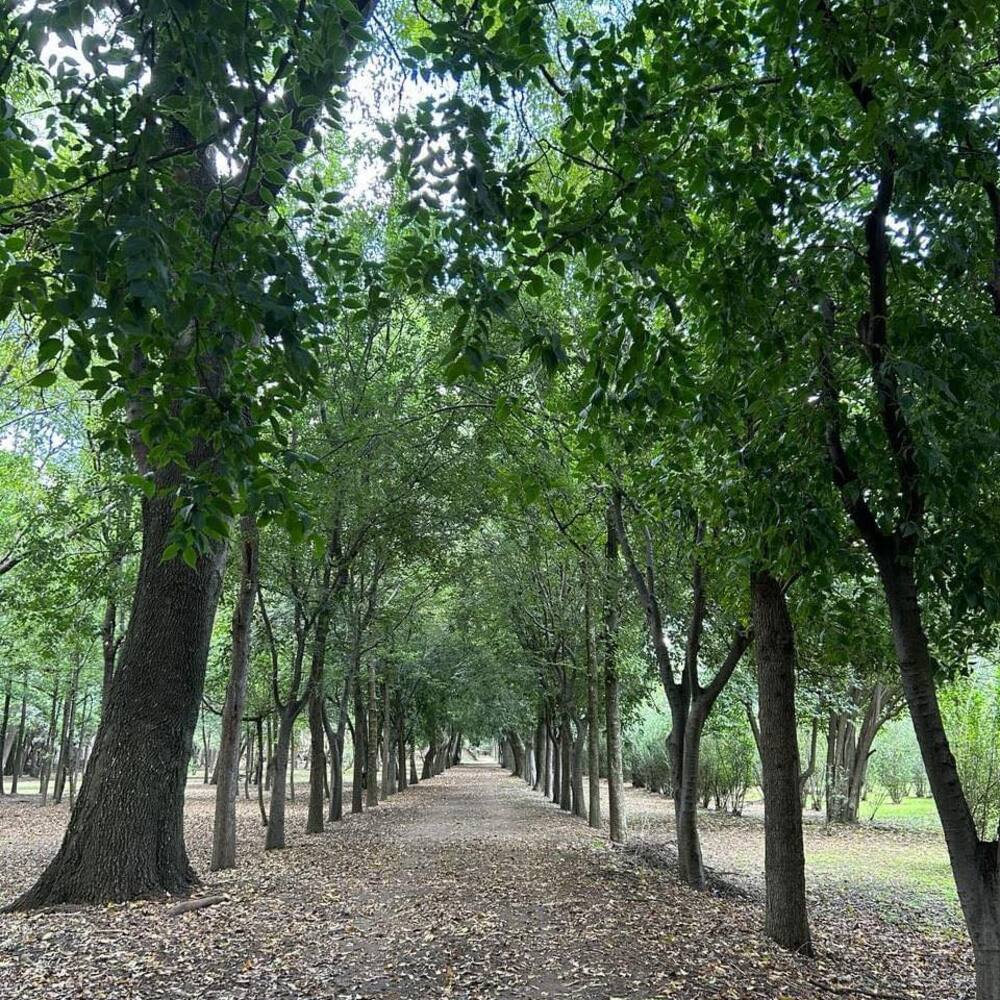 Un parque con 39 hectáreas perfecto para correr