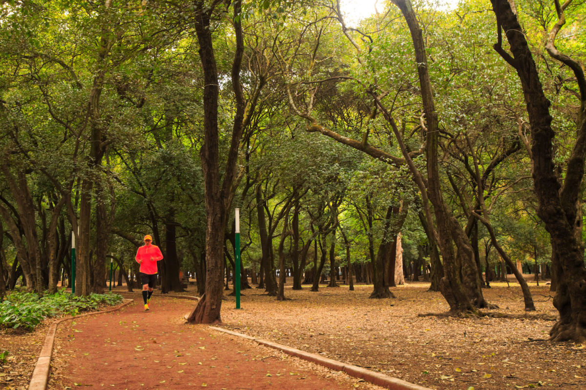 Circuito Gandhi a un lado del Museo de Antropología
