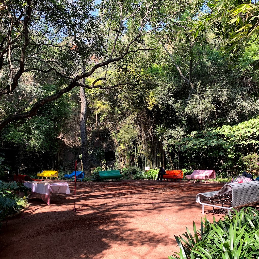 Lugares para relajarte en la CDMX