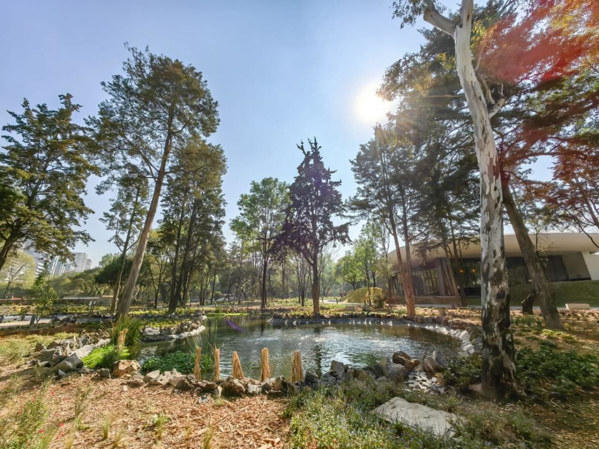 lugares-románticos-en-CDMX