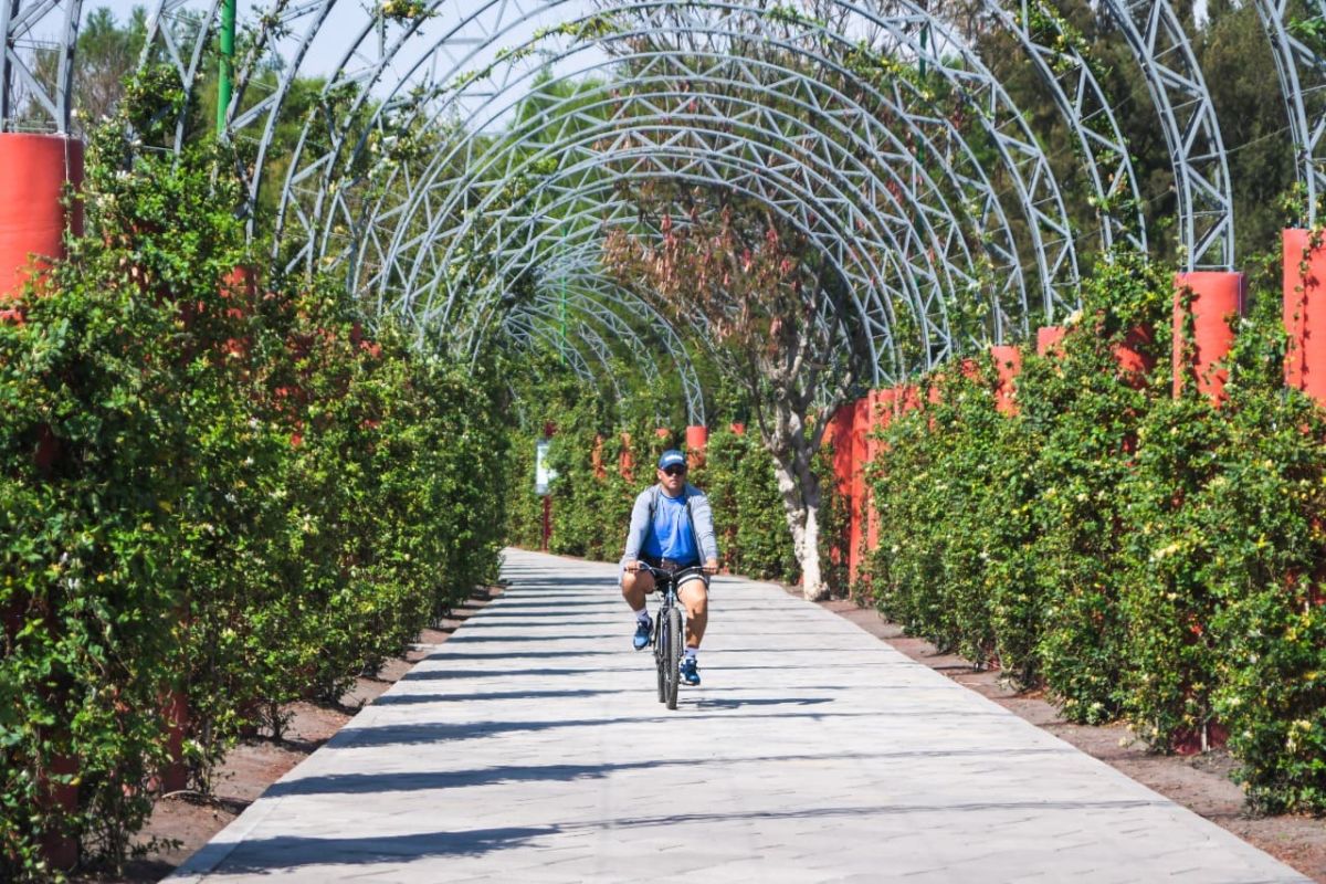 5 lugares preciosos en la CDMX para quienes se ‘engentan’ rápido, pues muy pocos van