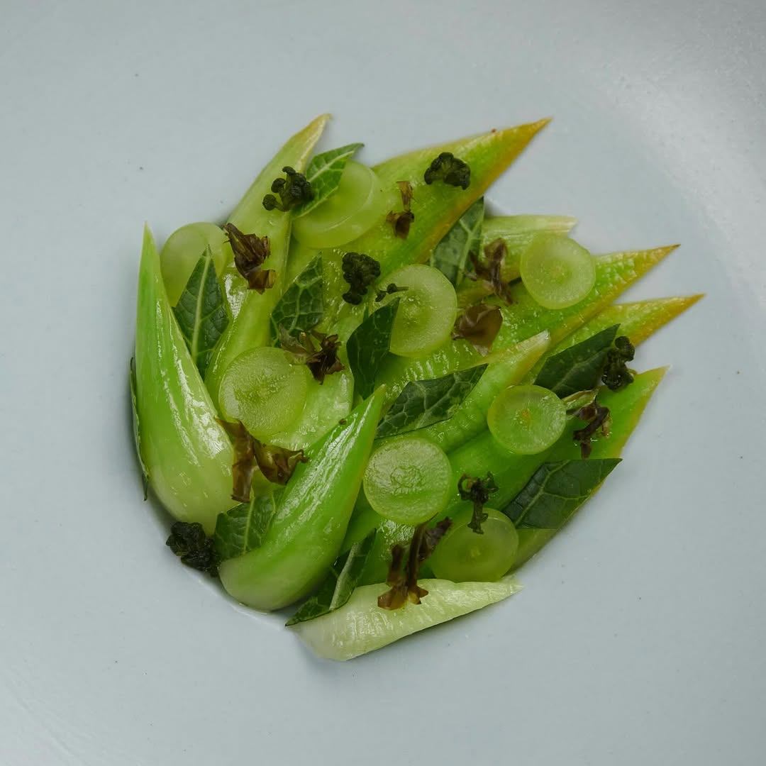 Berro chino, trucha y quinoa en El Chato Restaurante de Colombia