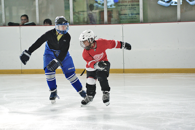 hockey sobre hielo 