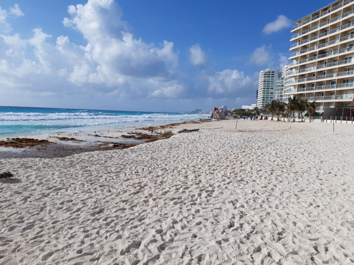 El caribe mexicano ha sido afectado por el sargazo 