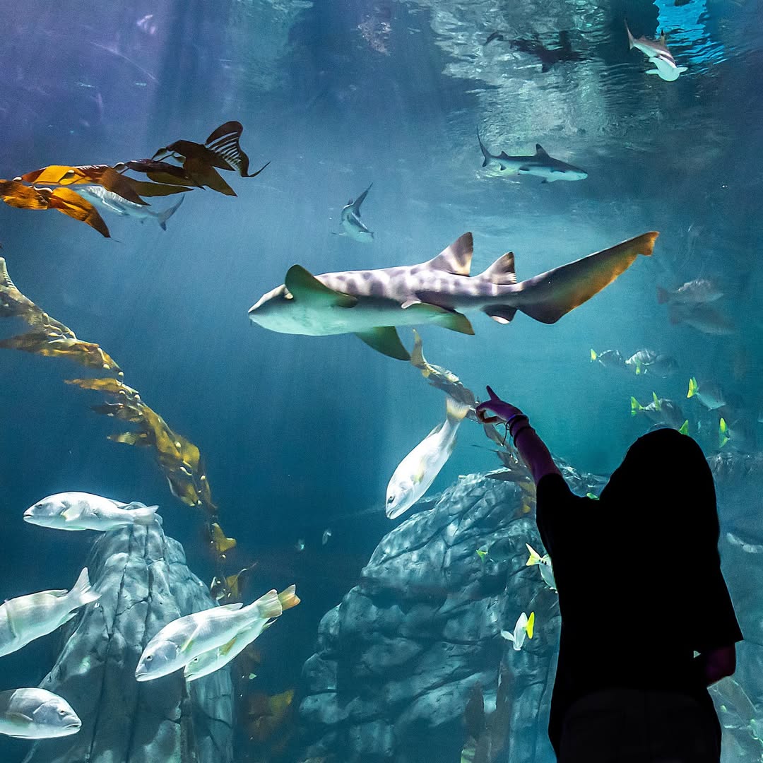 propósitos de Año Nuevo en la CDMX