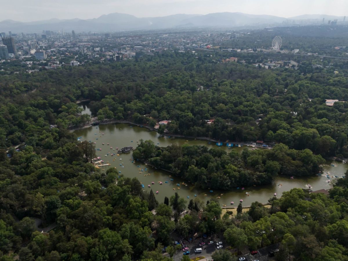 bosque de chapultepec