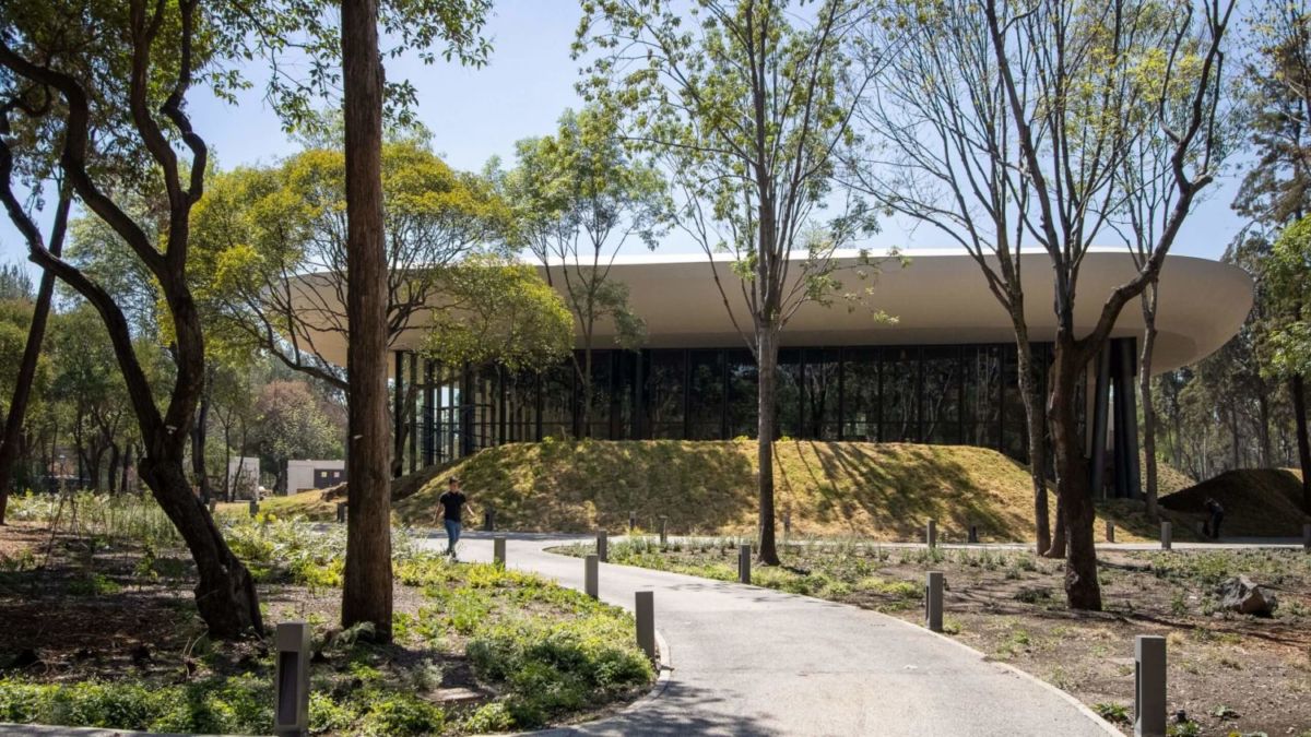 cafetería jardín escénico