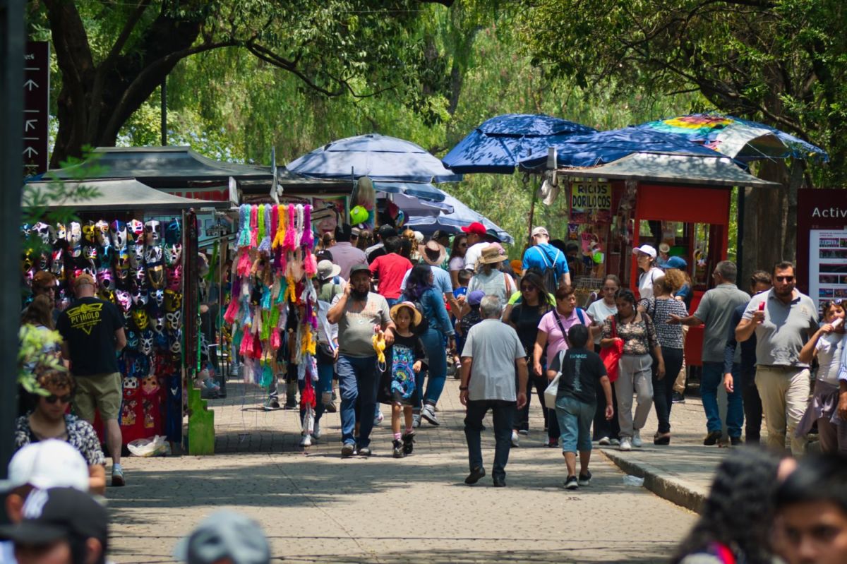 Qué hacer en la CDMX 