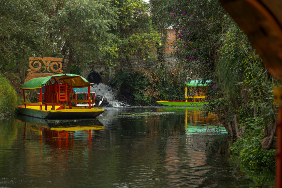 Si vas en trajinera por Xochimilco pide que te lleven a este jardín secreto donde comes muy rico 