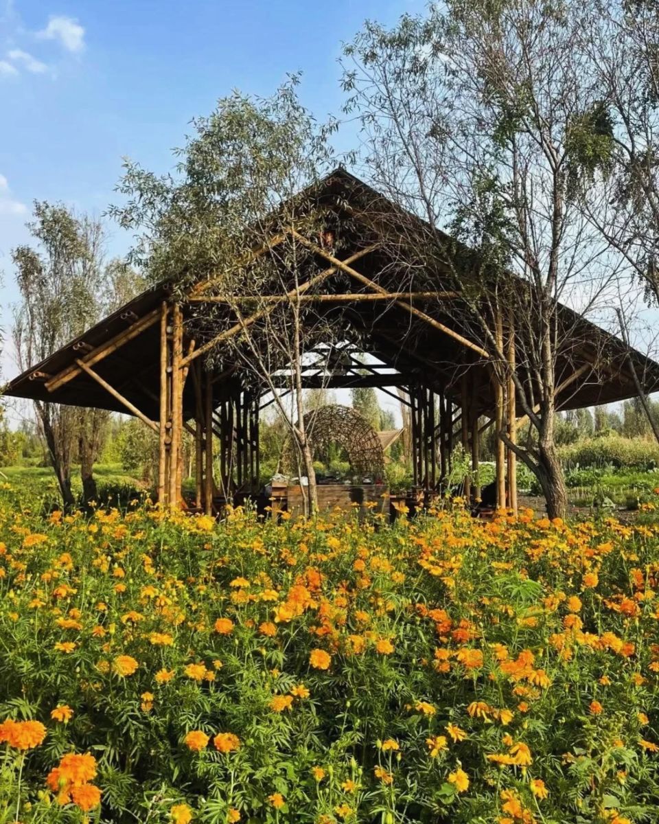 Chinampa Fuego Vivo en Xochimilco