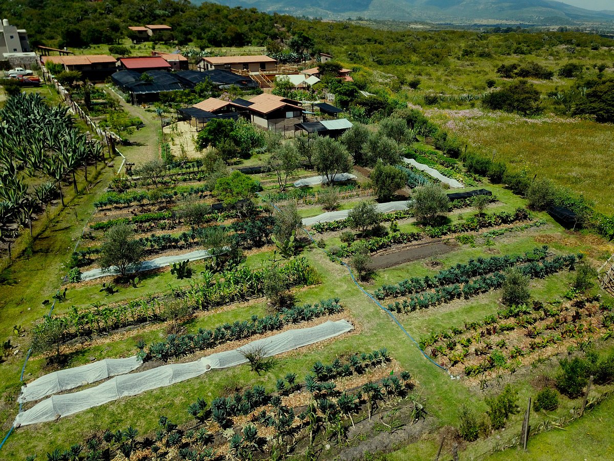 Vía Orgánica es un rancho agroecológico a las afueras de San Miguel de Allende