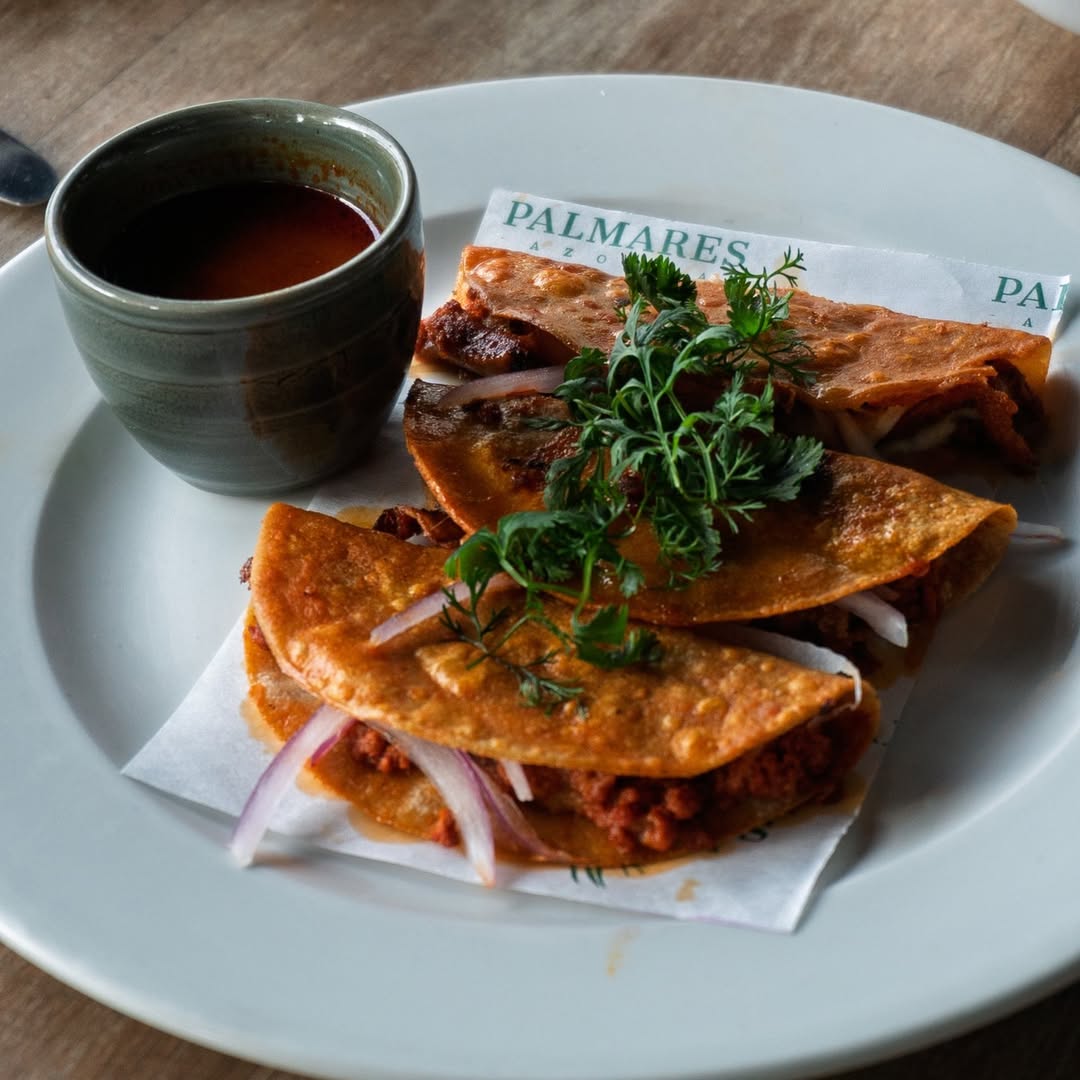 quesabirrias de terraza palmares