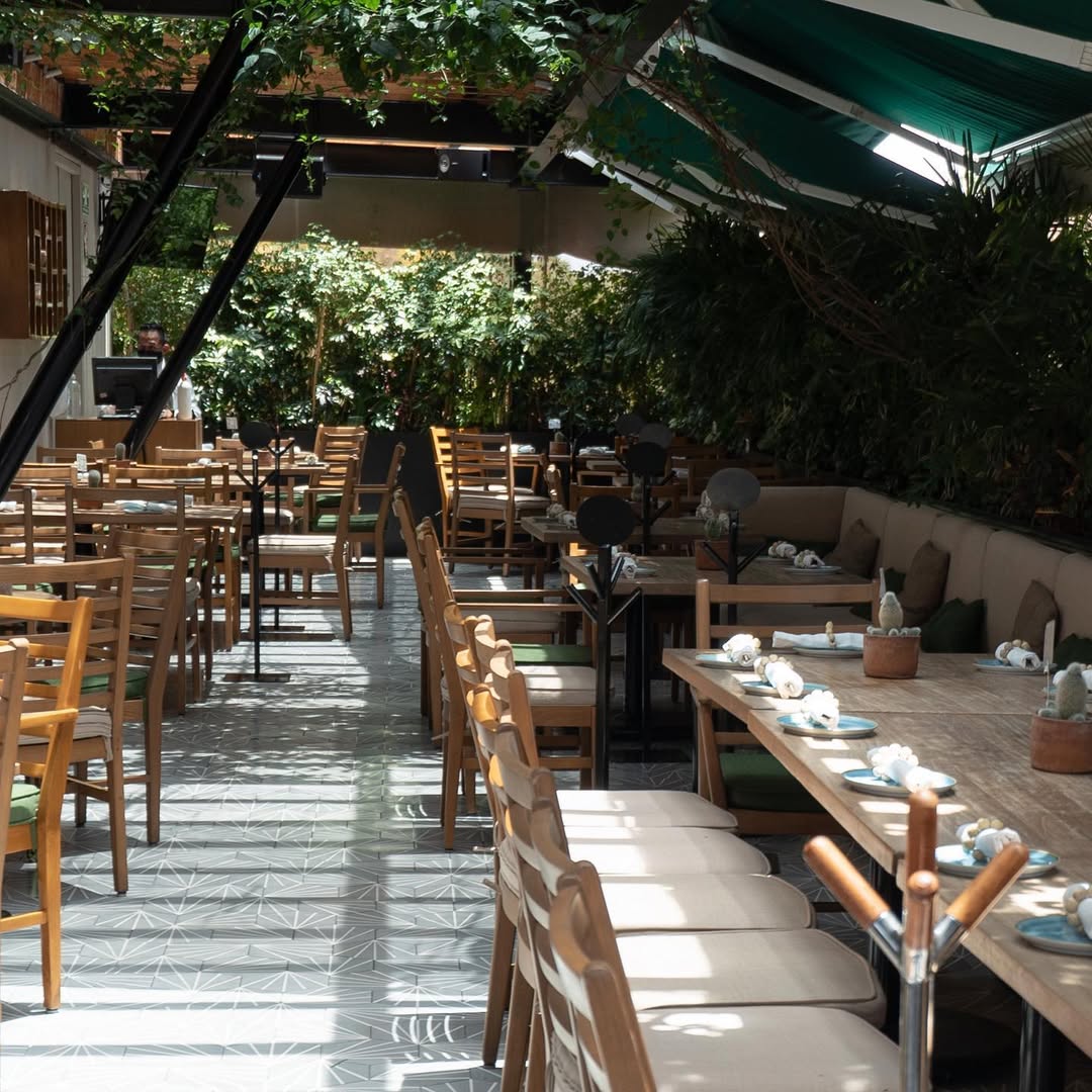 terraza palmares es una cantina de mar con vistas a reforma