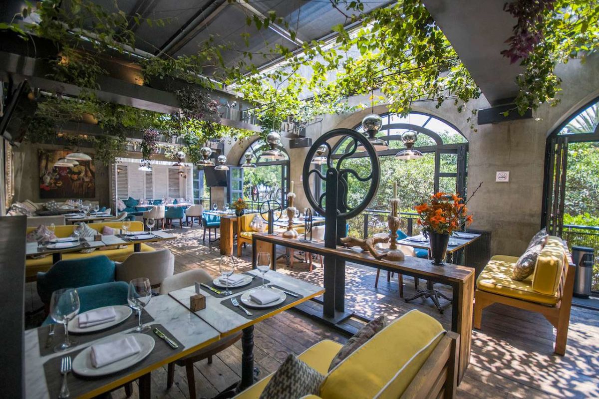 restaurantes-en-CDMX-para-ir-con-grupos-grandes