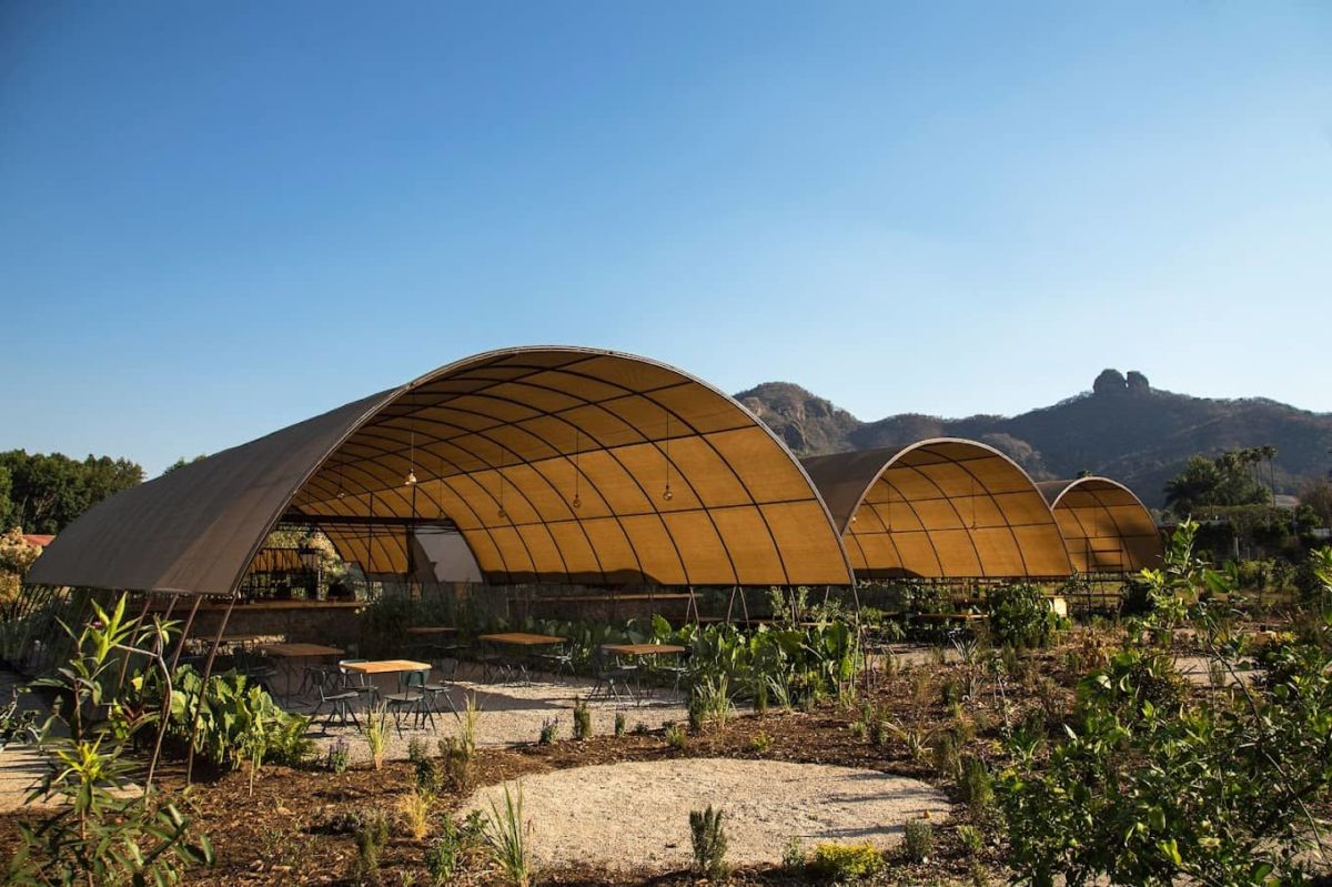 Comer en medio de un huerto o en el campo es lo de hoy: 5 restaurantes en México para vivir esta experiencia