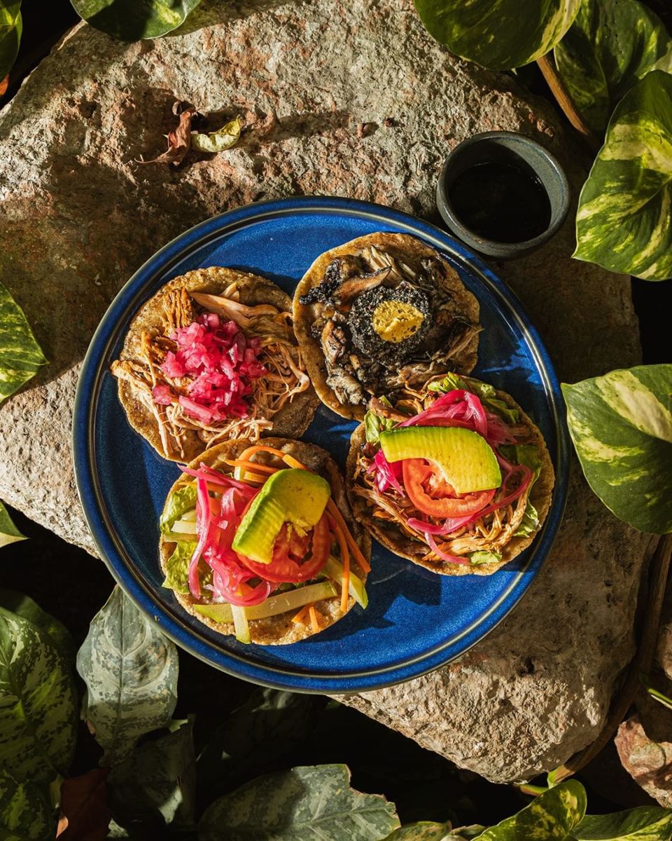 Panuchos, salbutes y antojitos yucatecos. 