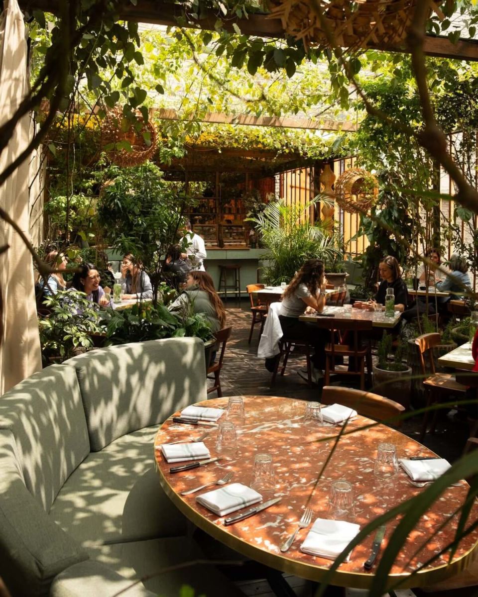 restaurantes rodeados de vegetación en CDMX