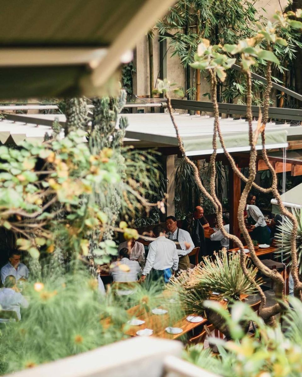 5 restaurantes rodeados de vegetación en la CDMX que te fascinarán 