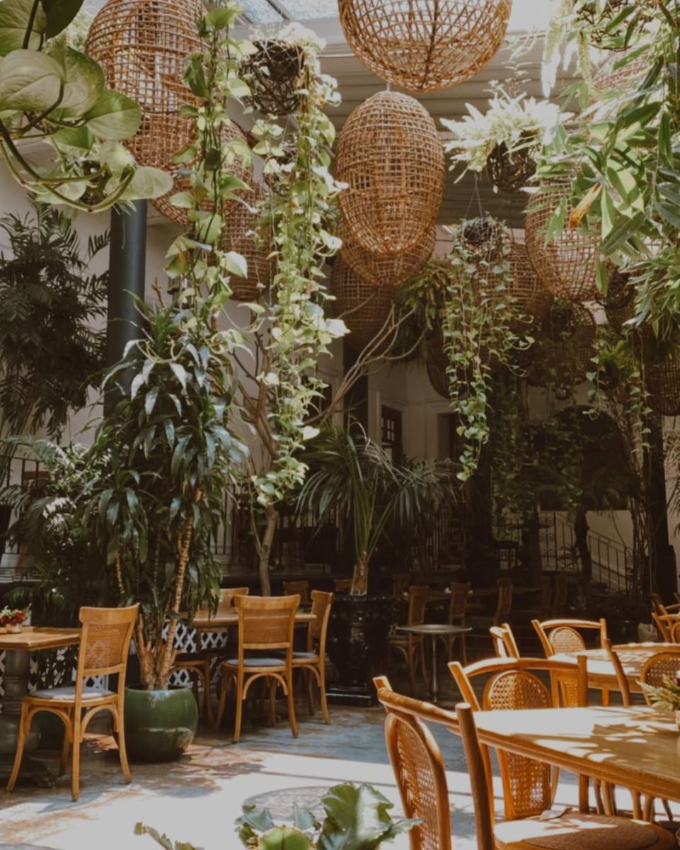 restaurantes rodeados de vegetación en CDMX