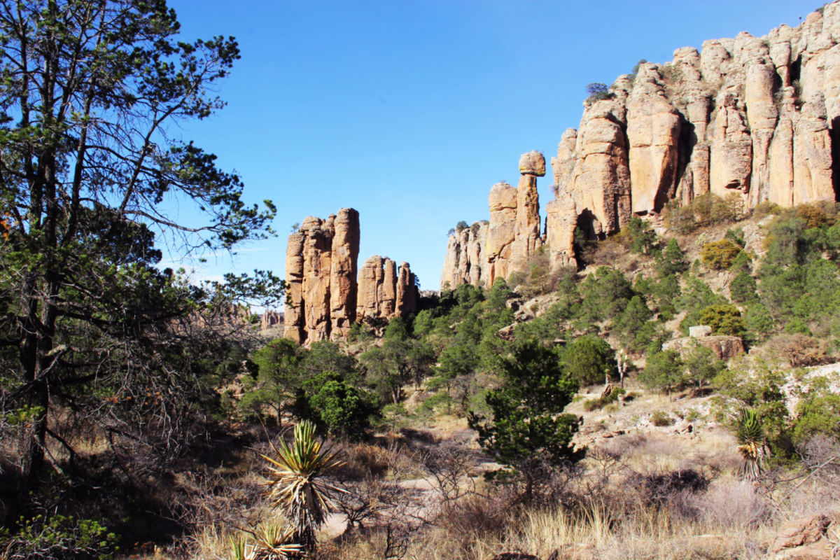Sierra-de-Órganos
