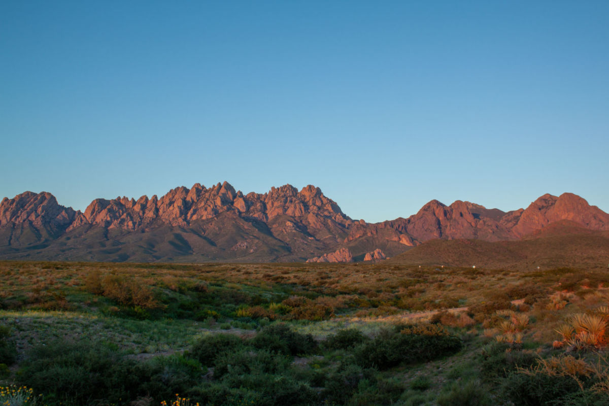 Sierra-de-Órganos