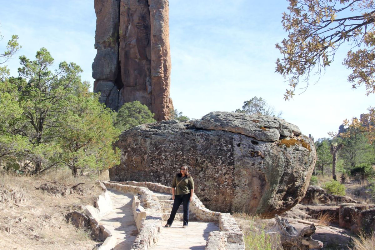 Sierra-de-Órganos