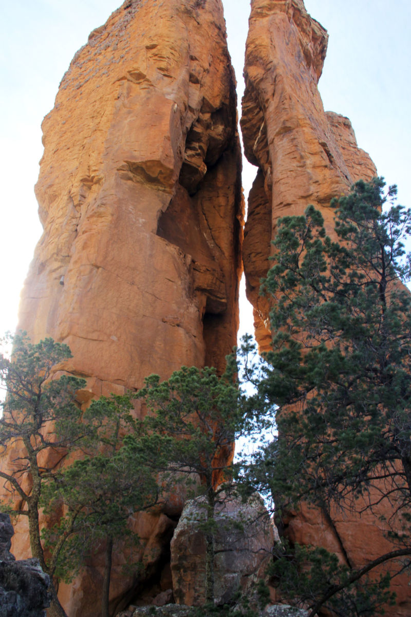 Sierra-de-Órganos