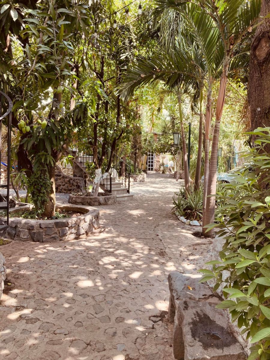 Temazcal Nahui Ollin rodeado de exuberante vegetación