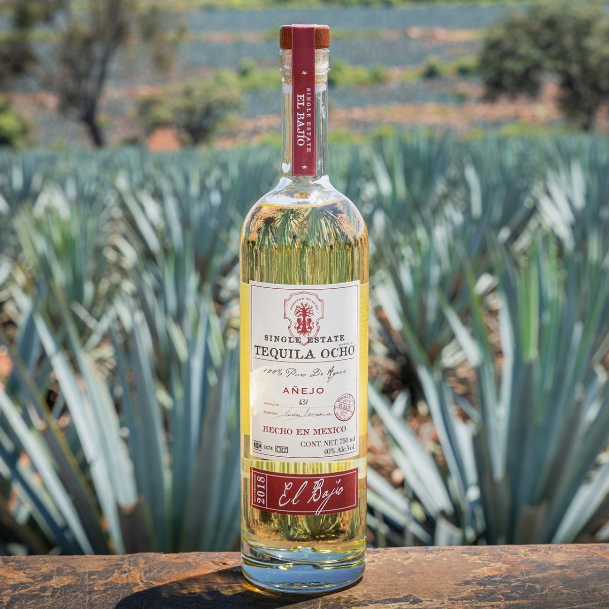 botellas para regalar en navidad