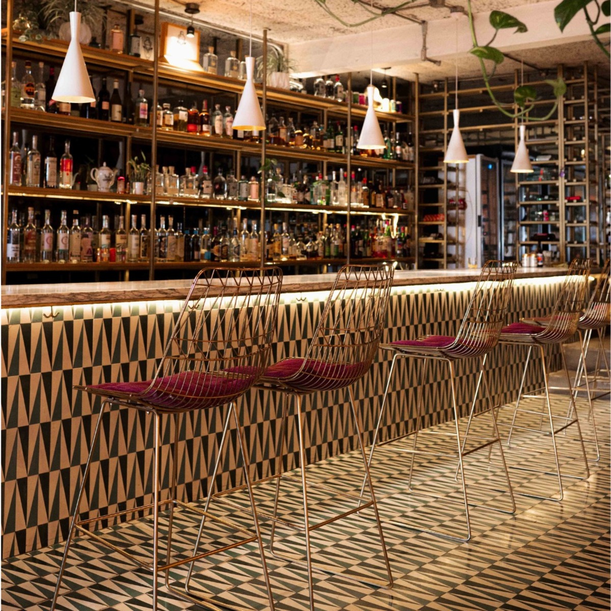 ¿De escala en Tijuana? Aprovecha a conocer Kool, la mejor opción de cocina mexicana contemporánea en la frontera