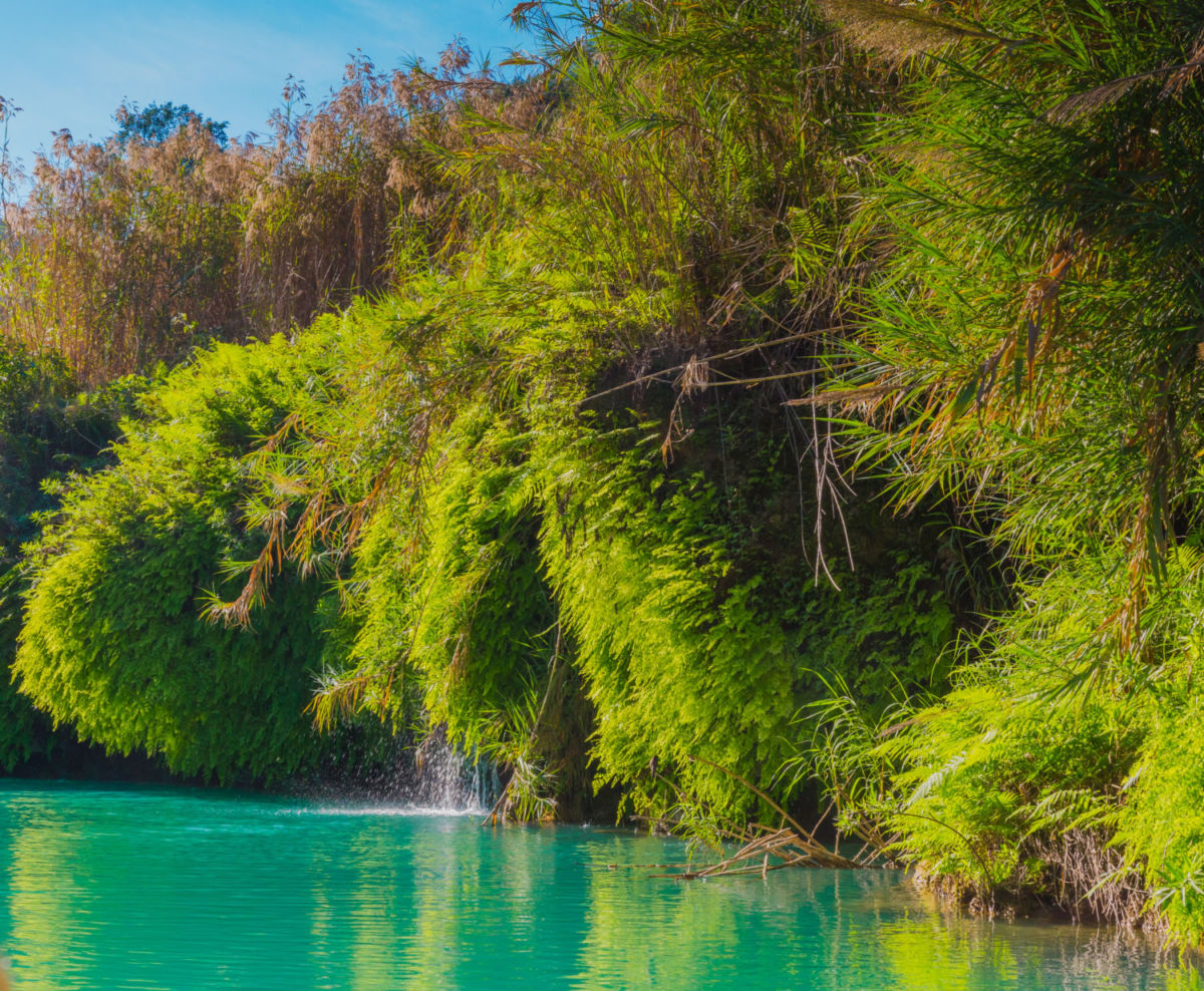 Cascada de Tamul alimenta una de las albercas naturales más bonitas de todo México
