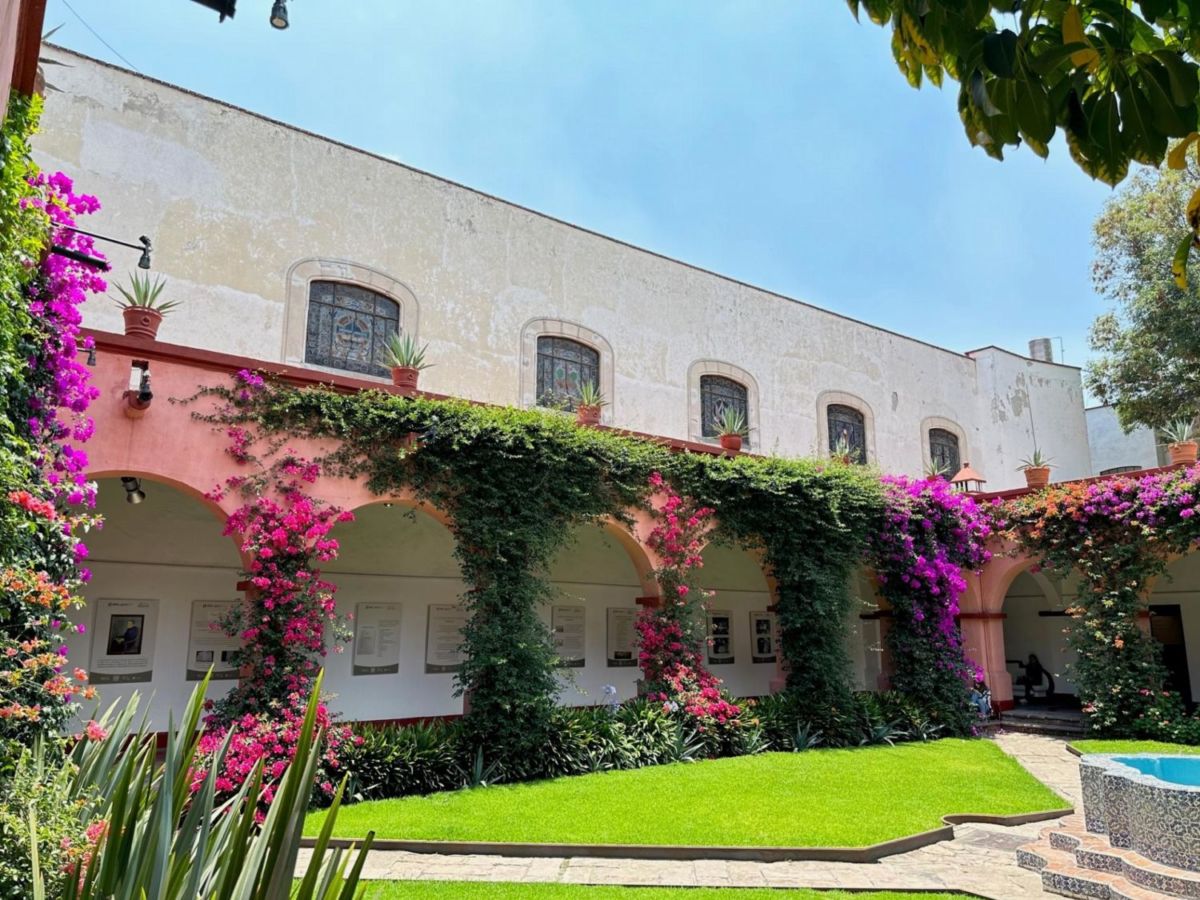 Cursos de italiano en el Instituto Italiano de Cultura en Coyoacán 