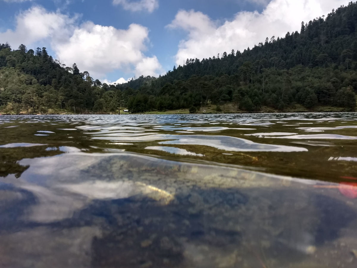 Este lugar a menos de una hora de la CDMX es perfecto para ir a trepar cerros y acampar con tus amigos de cuatro patas