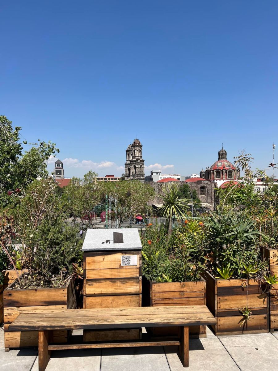 Cafetería con las mejores vistas en CDMX