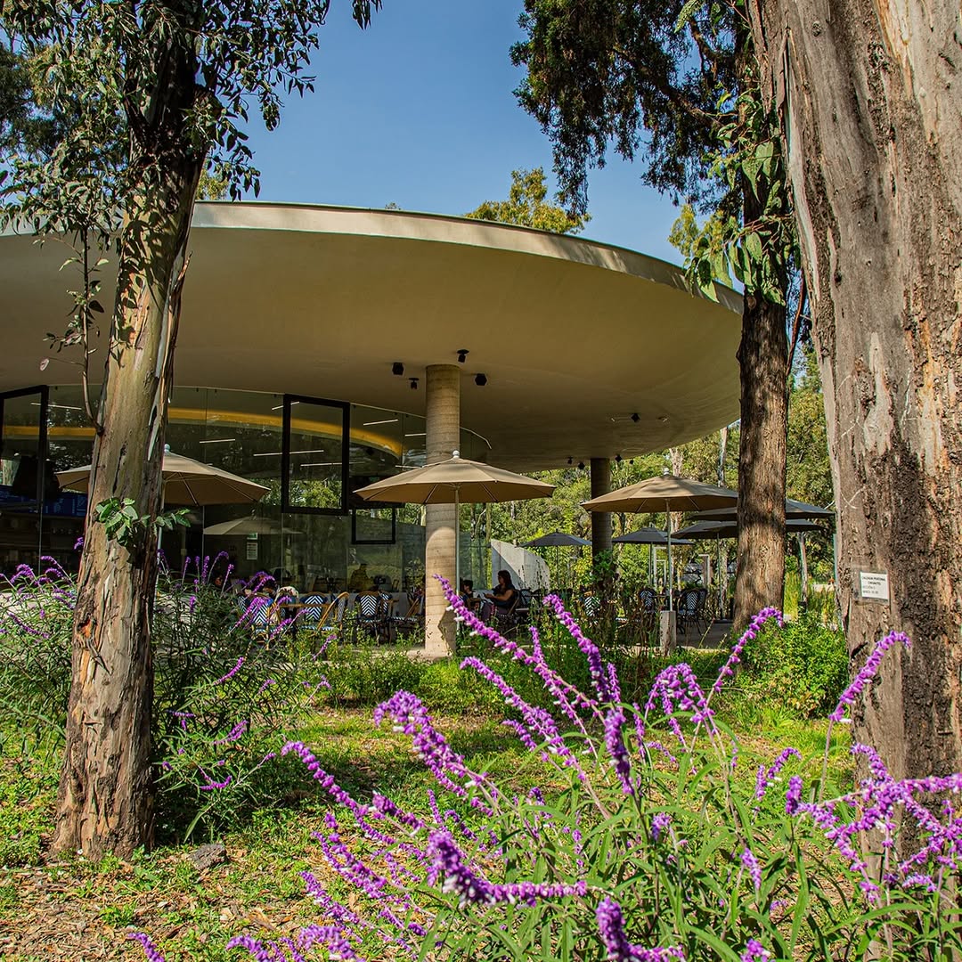 Proscenio Café dentro del Jardín Escénico de Chapultepec