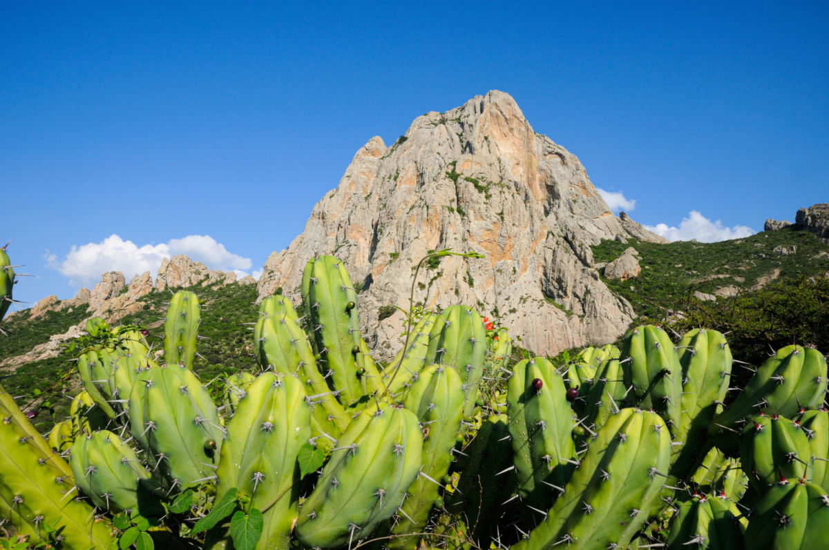 Acampa frente a la Peña de Bernal