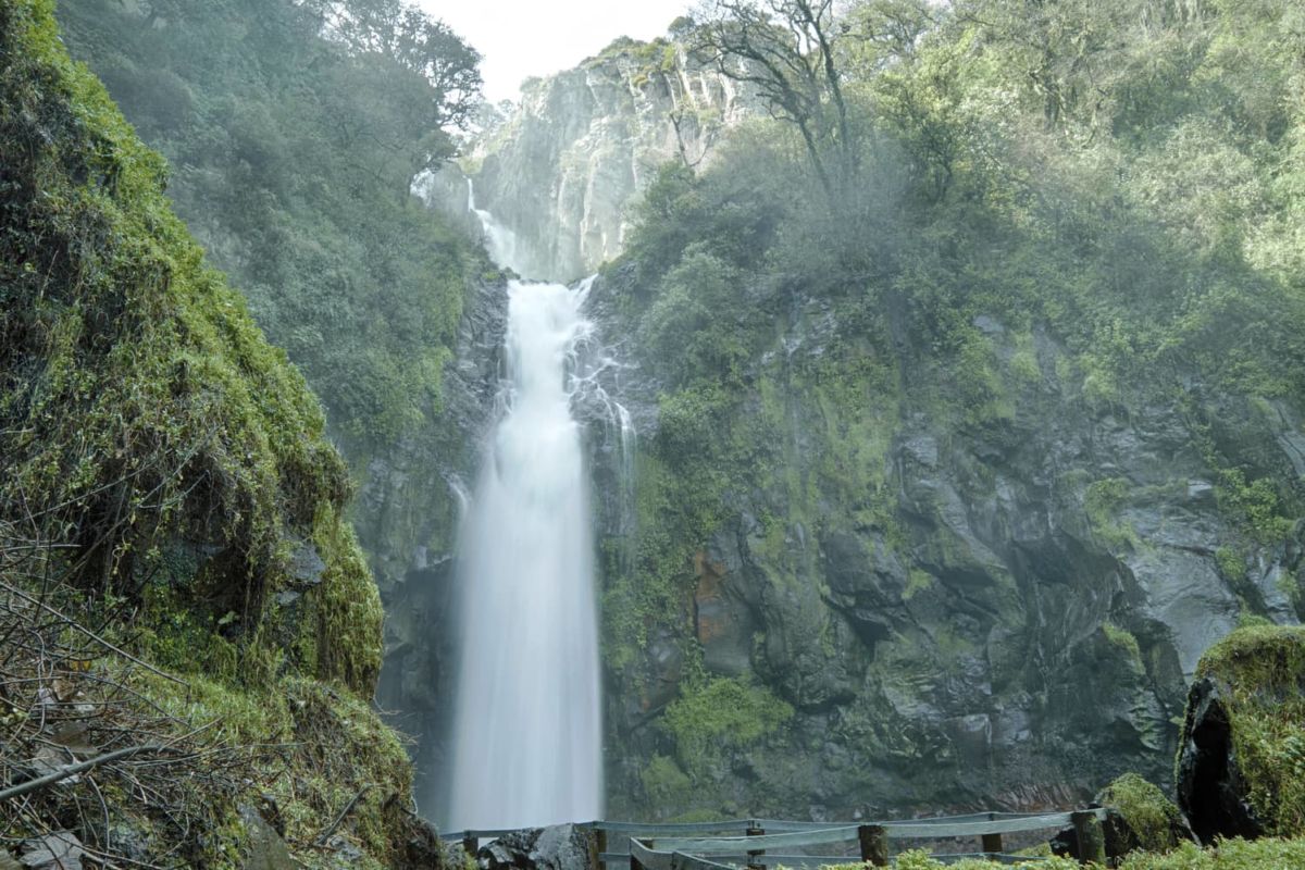 Por $50 pesos visita esta majestuosa cascada con tirolesas y puentes a solo 2 horas y media de CDMX