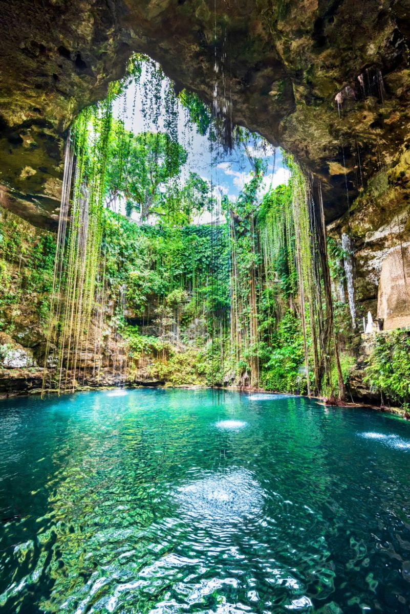 hay cenotes de agua dulce, salda, y salobre