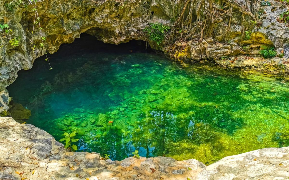 existen distintos tipos de cenotes y son determinados por su 'edad'