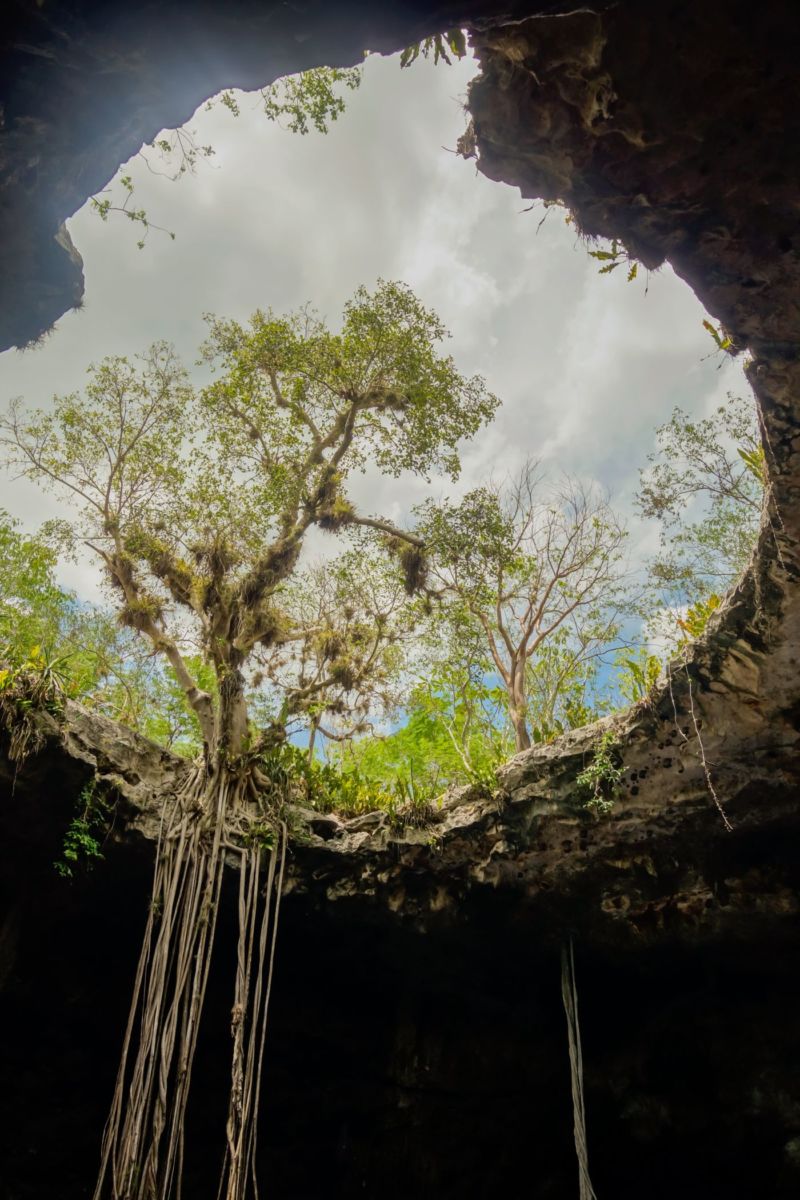yucatán cuenta con más de 7000 cenotes distribuidos a lo largo del estado