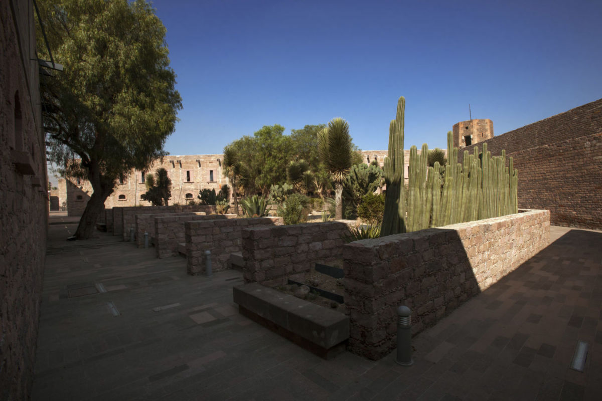 Jardín con cactáceas endémicas del estado