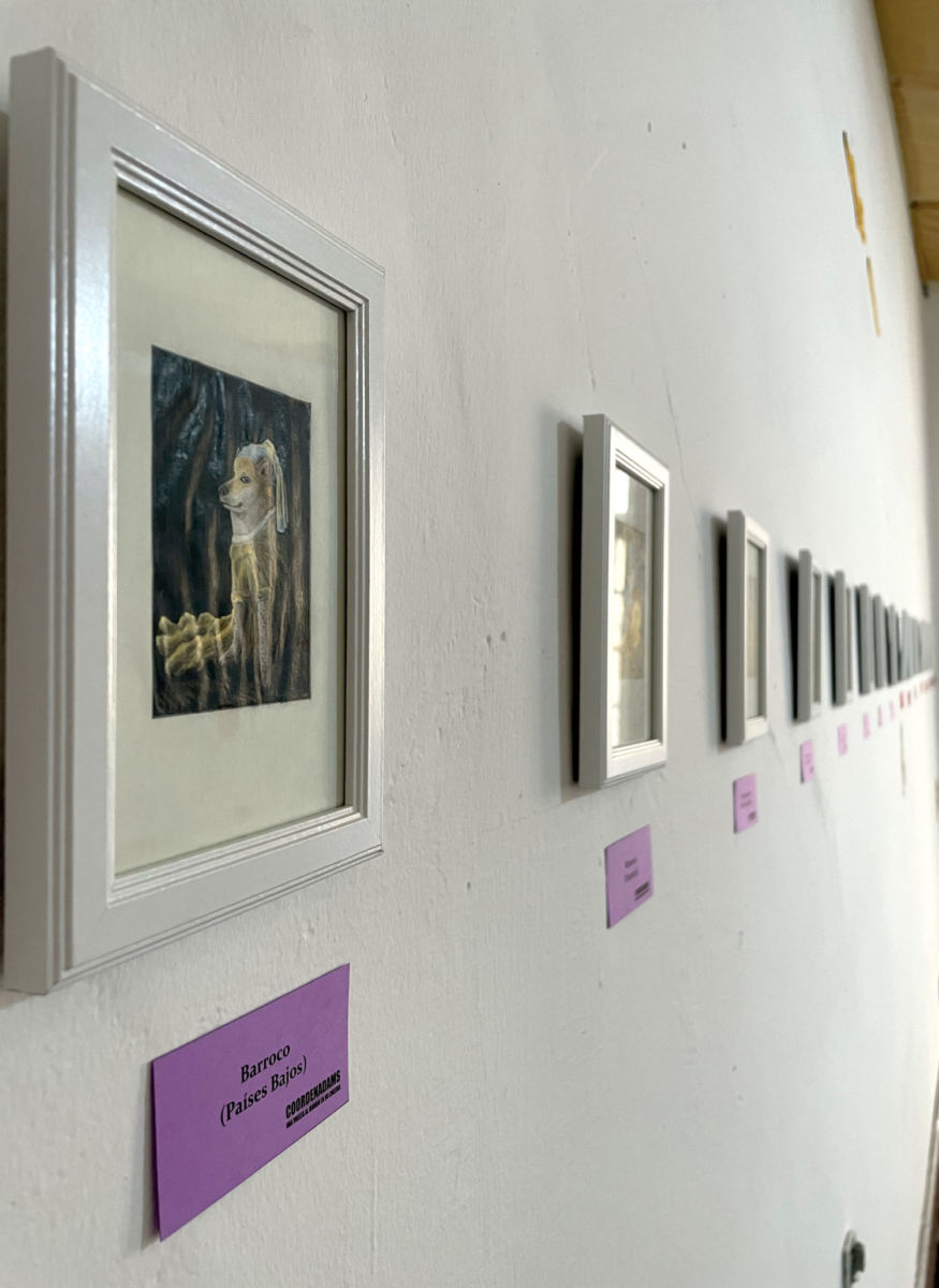 Exposición ‘Coordenadms, una vuelta al mundo en 80 Cheems’