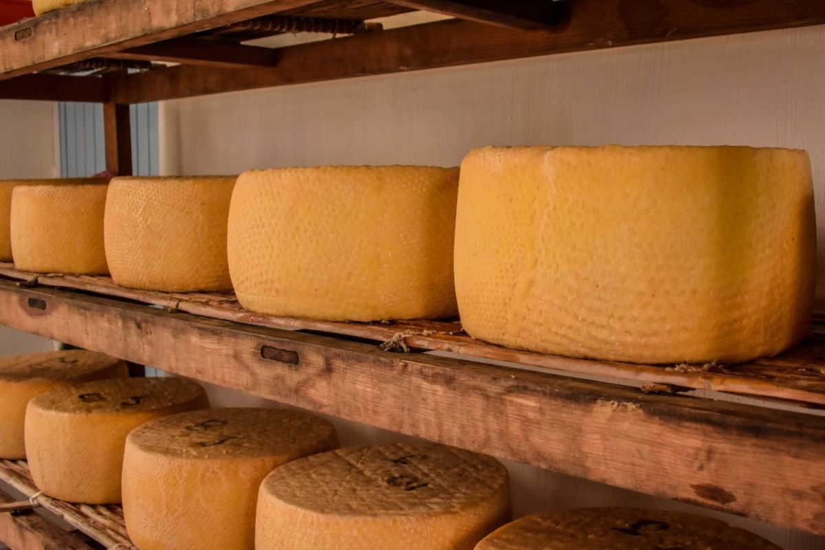 Este es el pueblo donde se elabora el queso cotija 