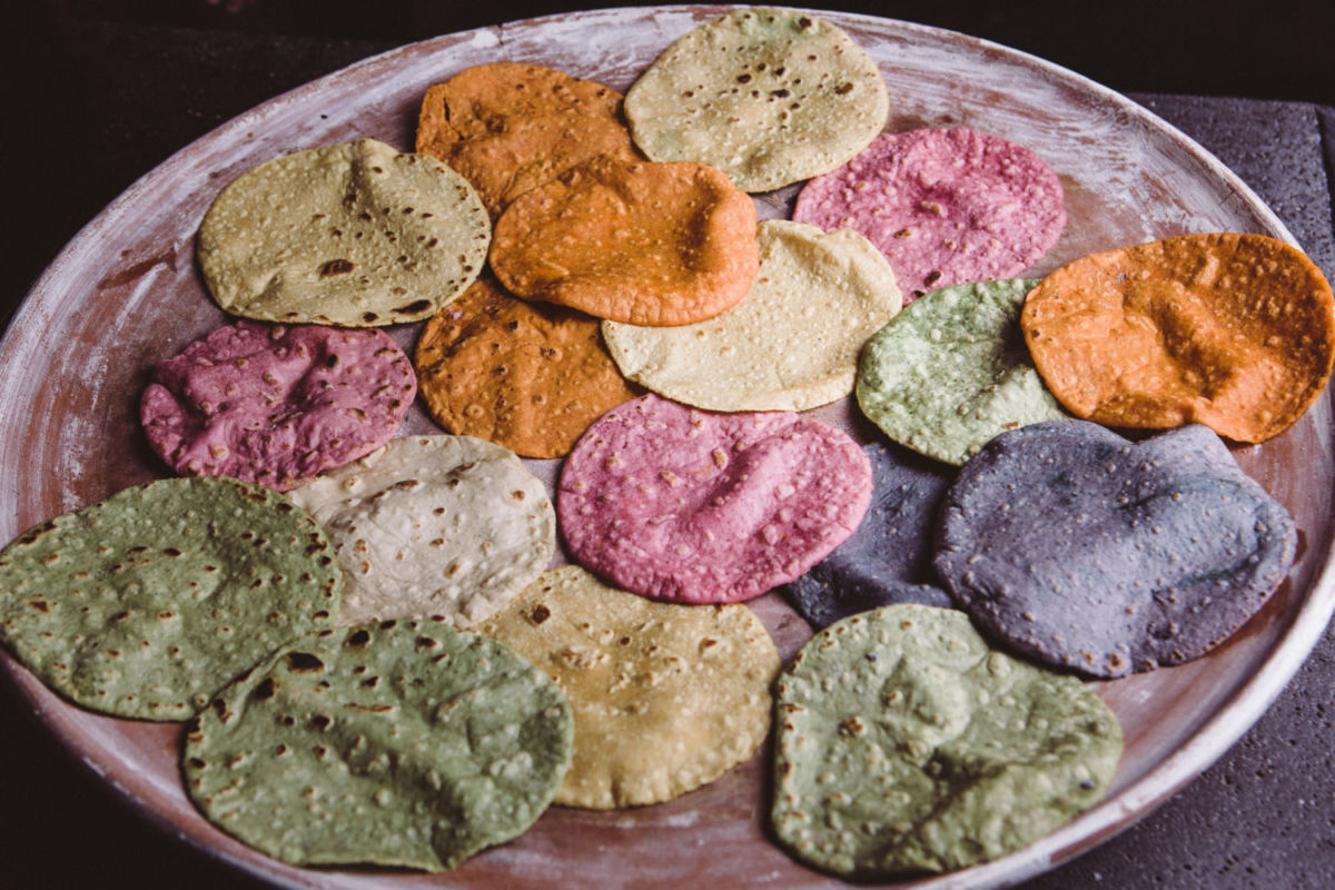 Siembra Comedor se dedica a la recuperación del maíz criollo en México