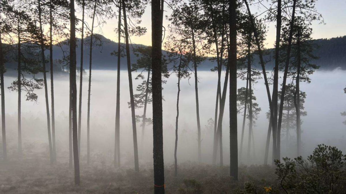 Corral de Piedra parque ecológico cerca de Valle de Bravo, ideal para acampar.