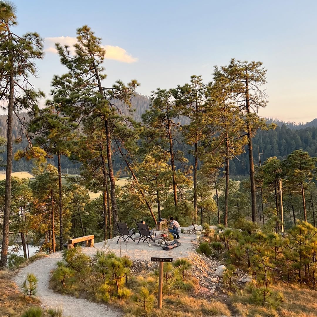Espacio recreativo en medio del bosque, corral de piedra. 