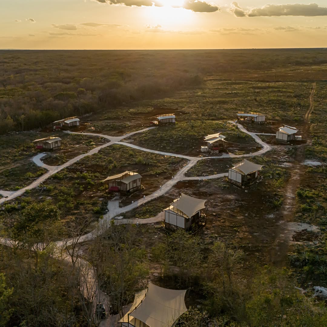 las tents en este glamping en la selva en Yucatán forman una raíz de árbol como representación de la conexión con la tierra